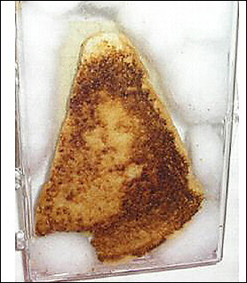 If your plan for the salvation of your soul involves grilled cheese, seek help.
