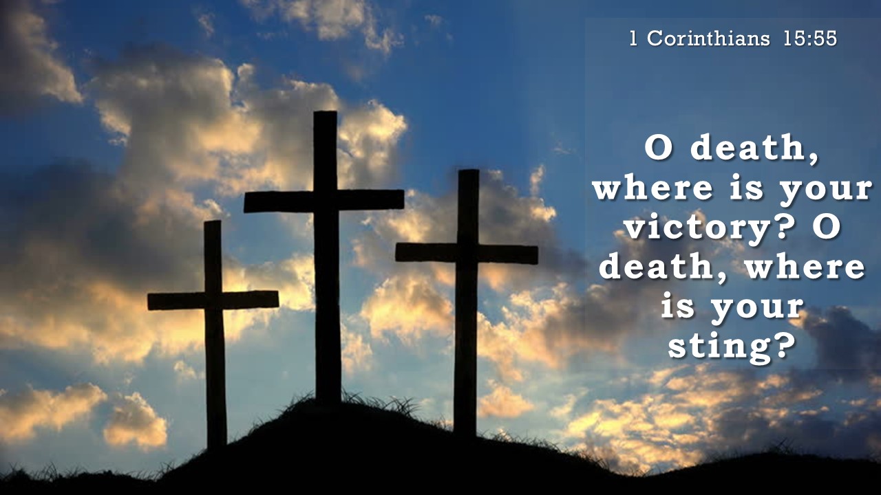 Raised with Christ – Chasing the Wind